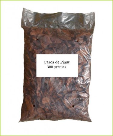 Casca de pinus